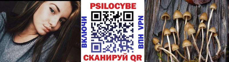 Галлюциногенные грибы мухоморы  Якутск 